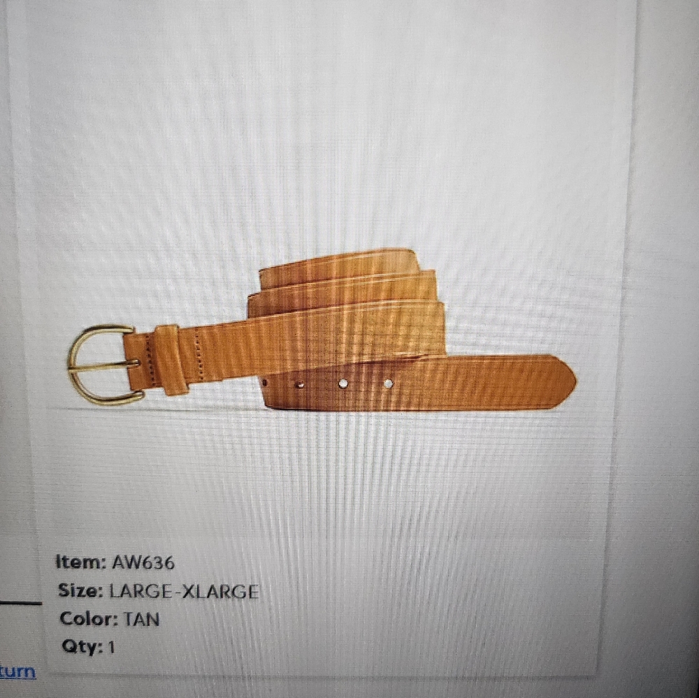 JCrew Tan belt